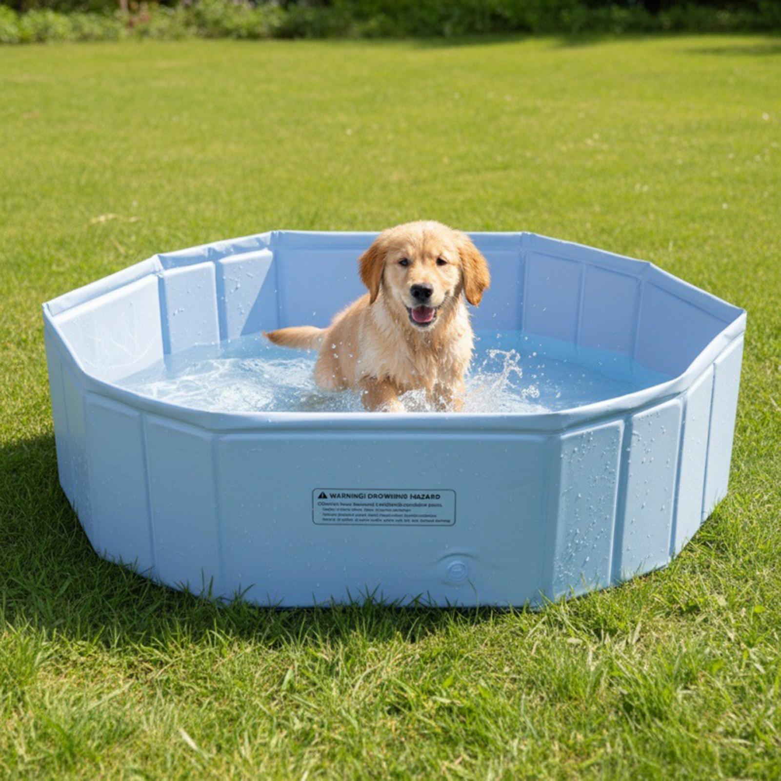 Piscina Plegable para Mascotas - Kids Outdoor Play Yard reseña y precio