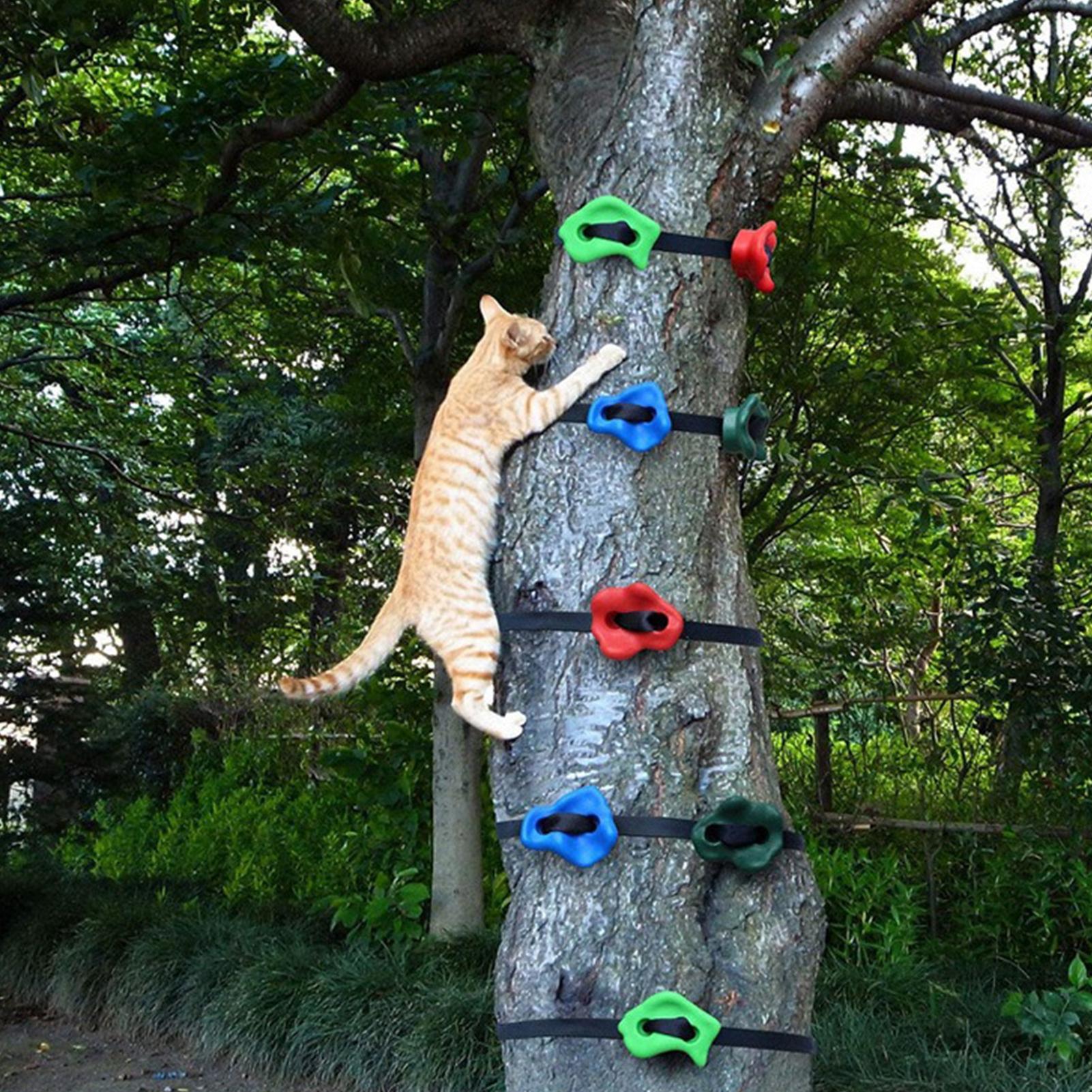 Juguetes de escalada para exte - Kids Outdoor Obstacle Course Equipment reseña y precio