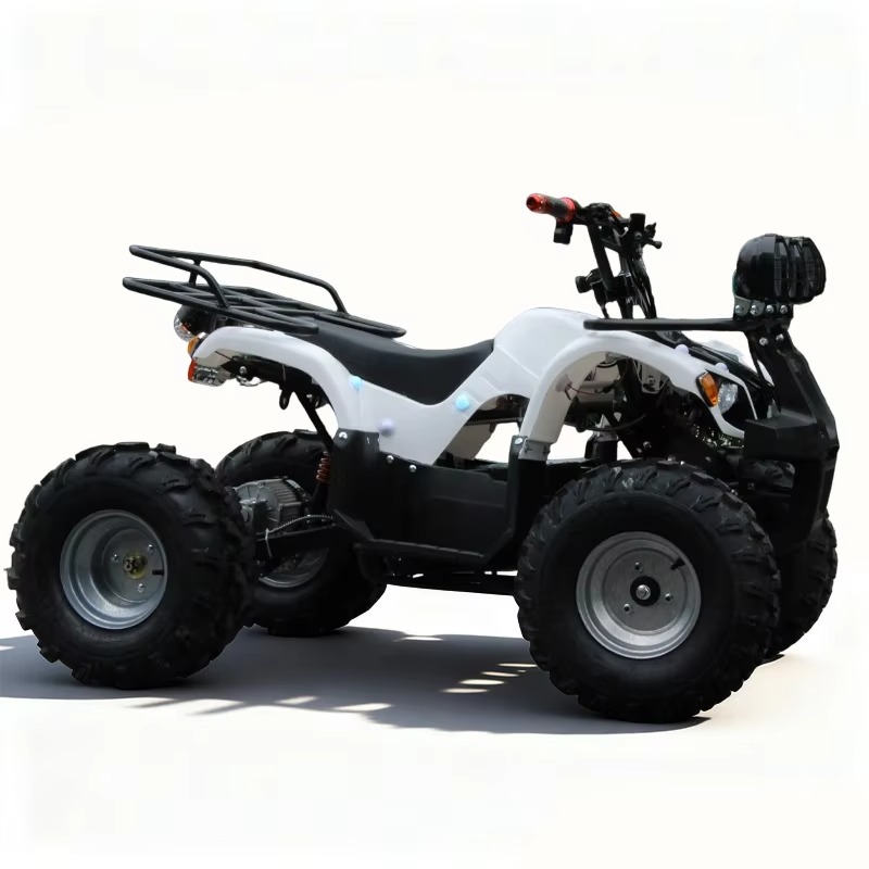 Cuatriciclo Eléctrico para Niñ - Kids Outdoor Electric Quad reseña y precio