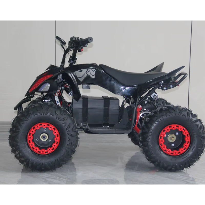 Cuatriciclo Eléctrico para Niñ - Kids Outdoor Electric Quad reseña y precio