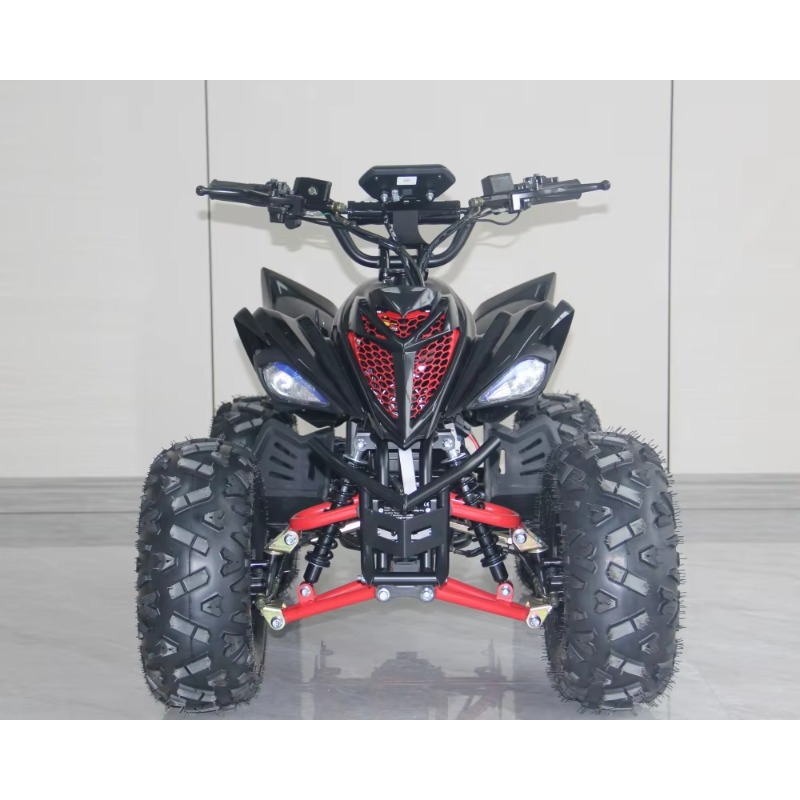 Cuatriciclo Eléctrico para Niñ - Kids Outdoor Electric Quad reseña y precio