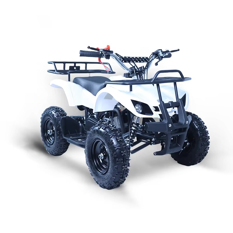 Mini ATV de 49cc para niños, c - Kids Outdoor Quad reseña y precio