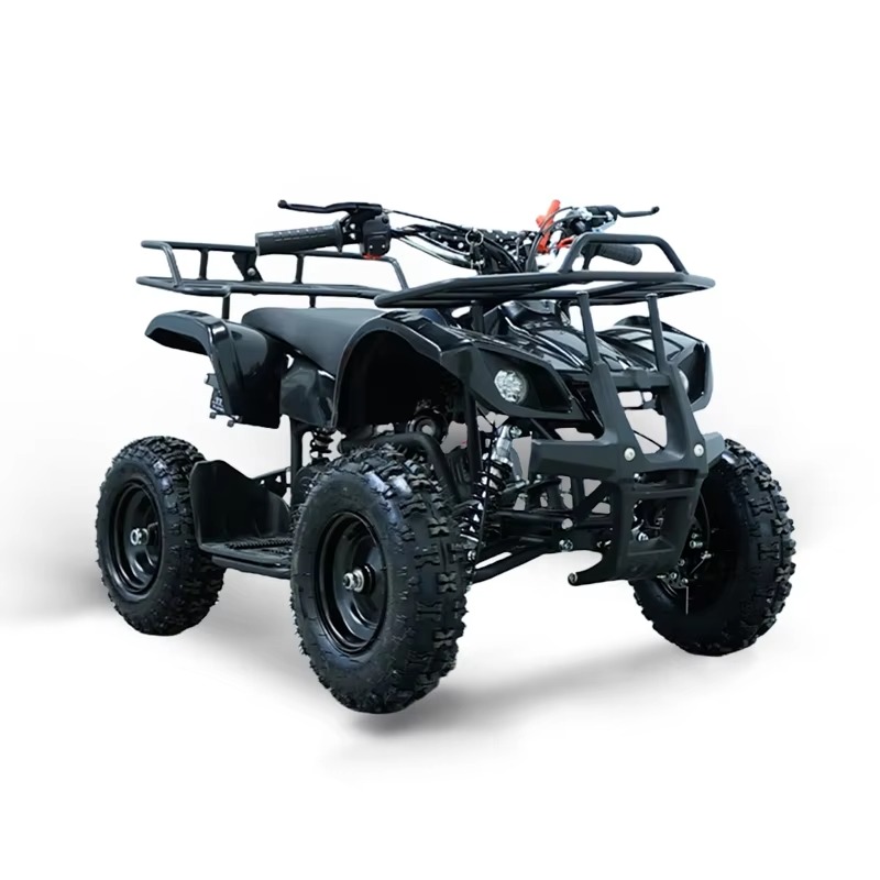 Mini ATV de 49cc para niños, c - Kids Outdoor Quad reseña y precio